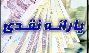 خانوارها از ماه‌ آینده چه یارانه‌هایی را یکجا دریافت می‌کنند؟